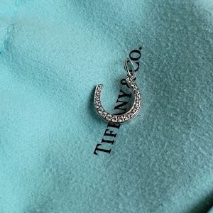 New Platinum Diamond Tiffany & Co. Horseshoe and